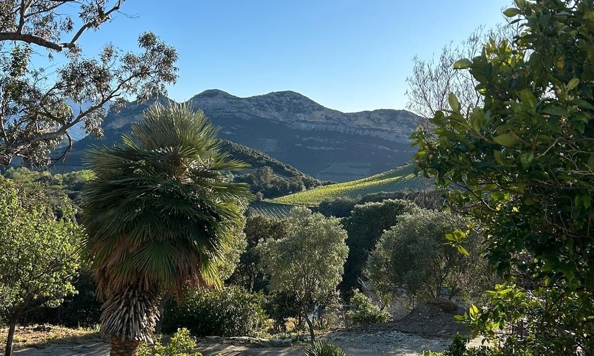 Photo of Outdoor in Patrimonio