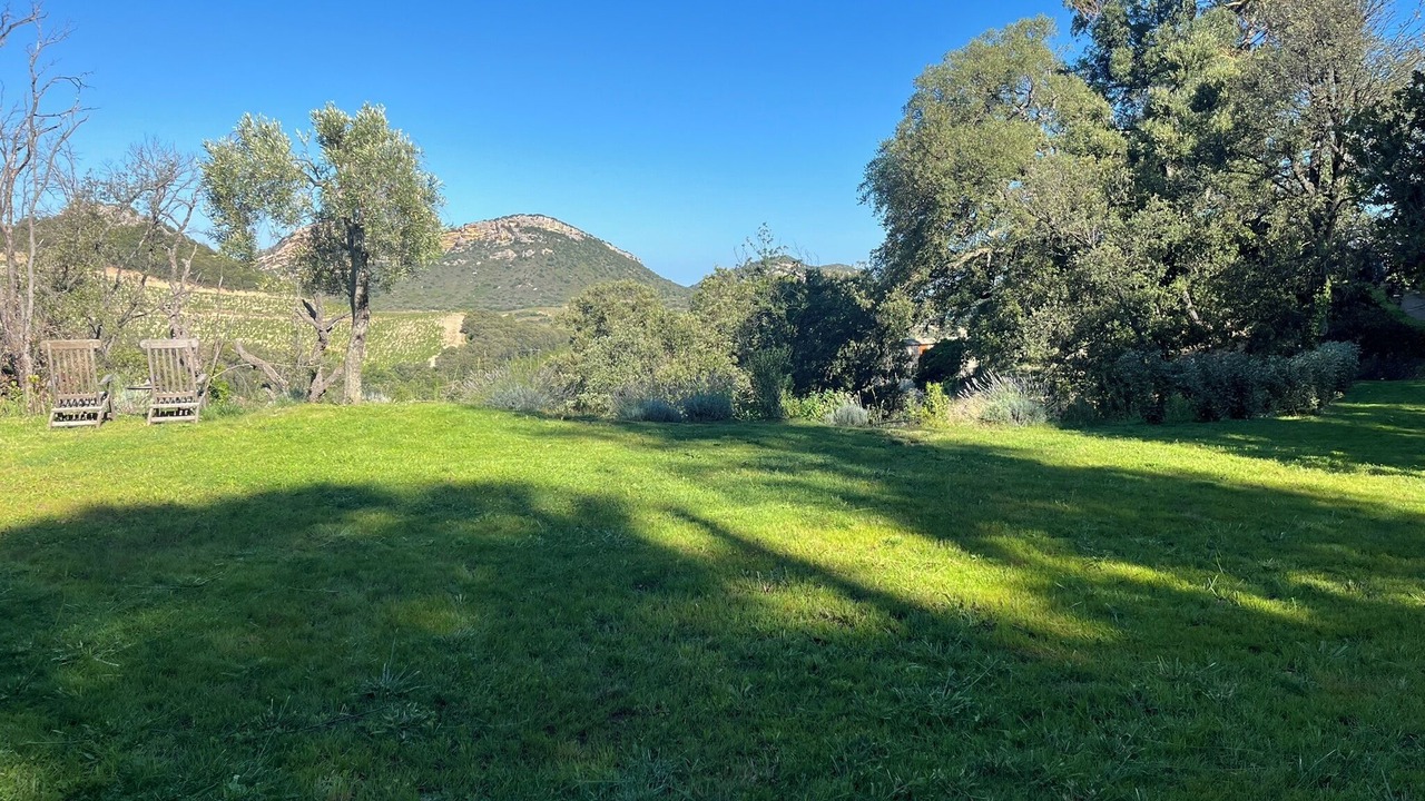 Photo of Outdoor in Patrimonio