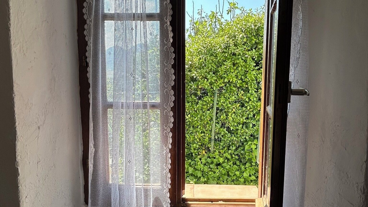 Photo of Others in Patrimonio