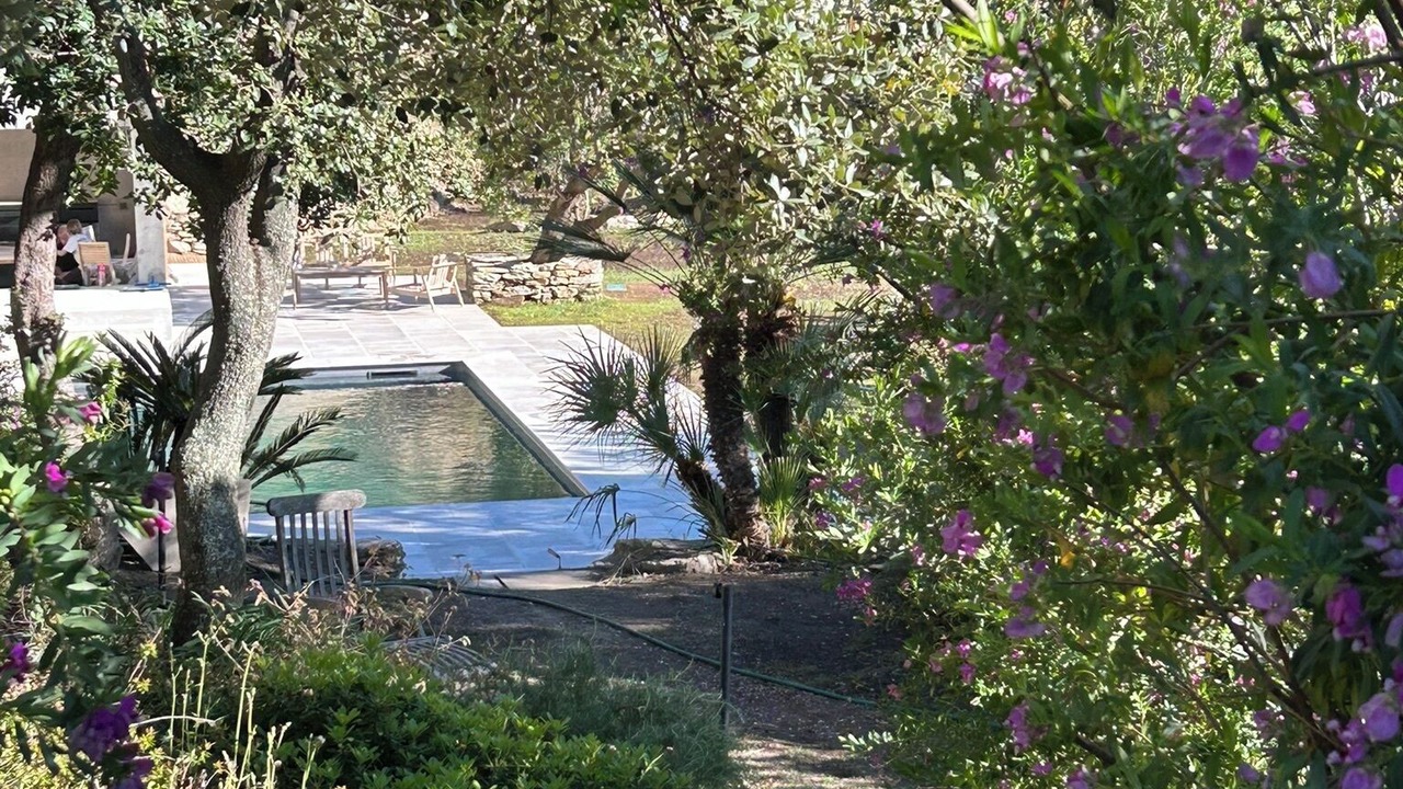 Photo of Outdoor in Patrimonio