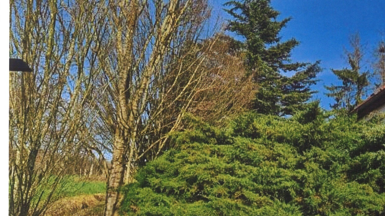 Photo of Others in Villers-Robert