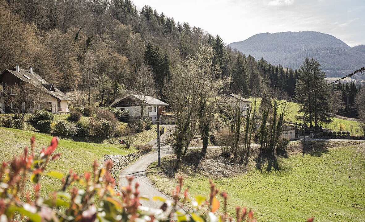 Photo of Outdoor in Naves-Parmelan