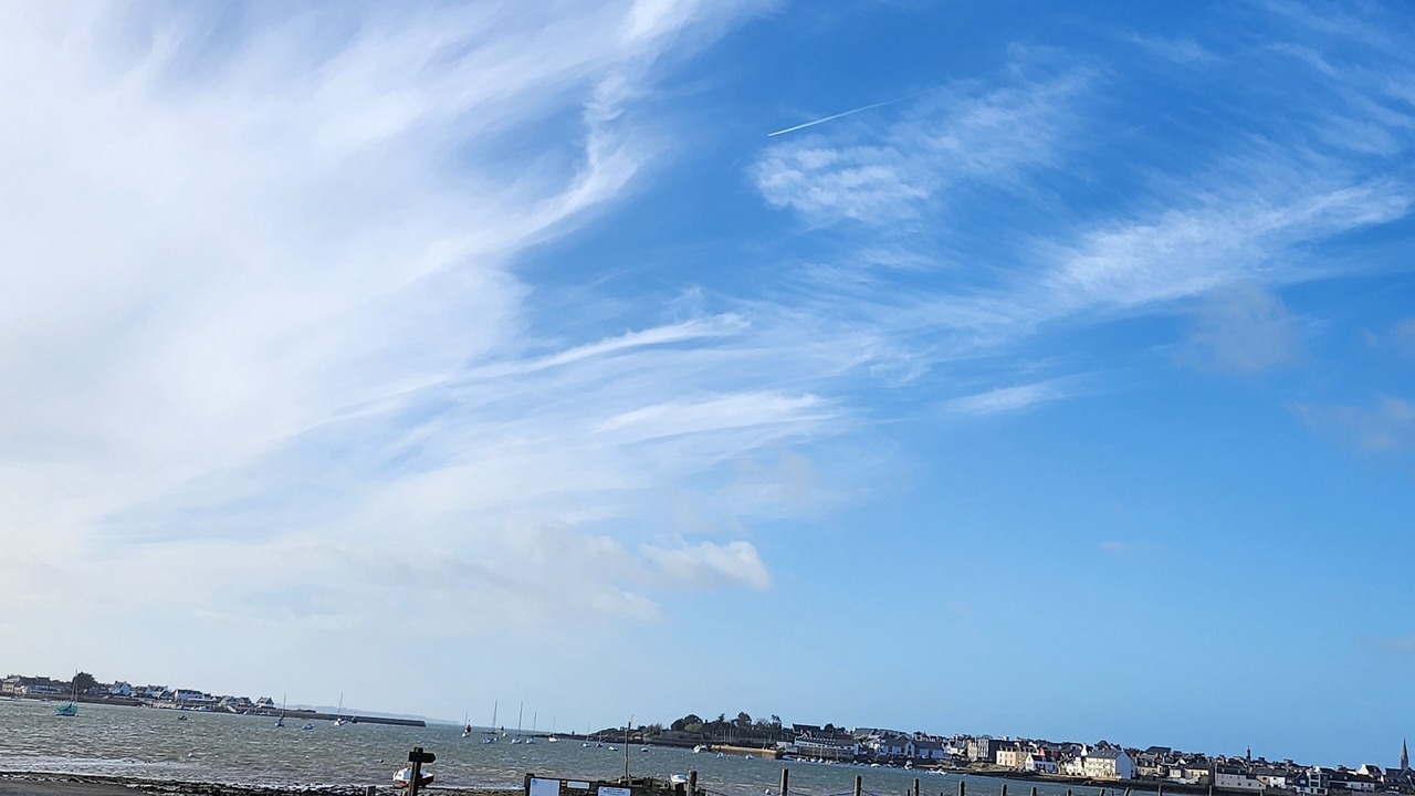 Photo of Others in Riantec