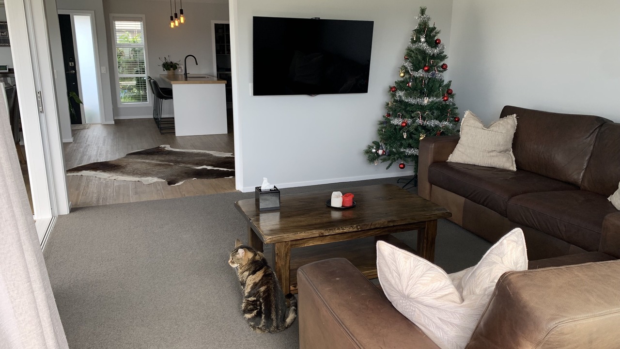 Photo of Livingroom in Papamoa Beach