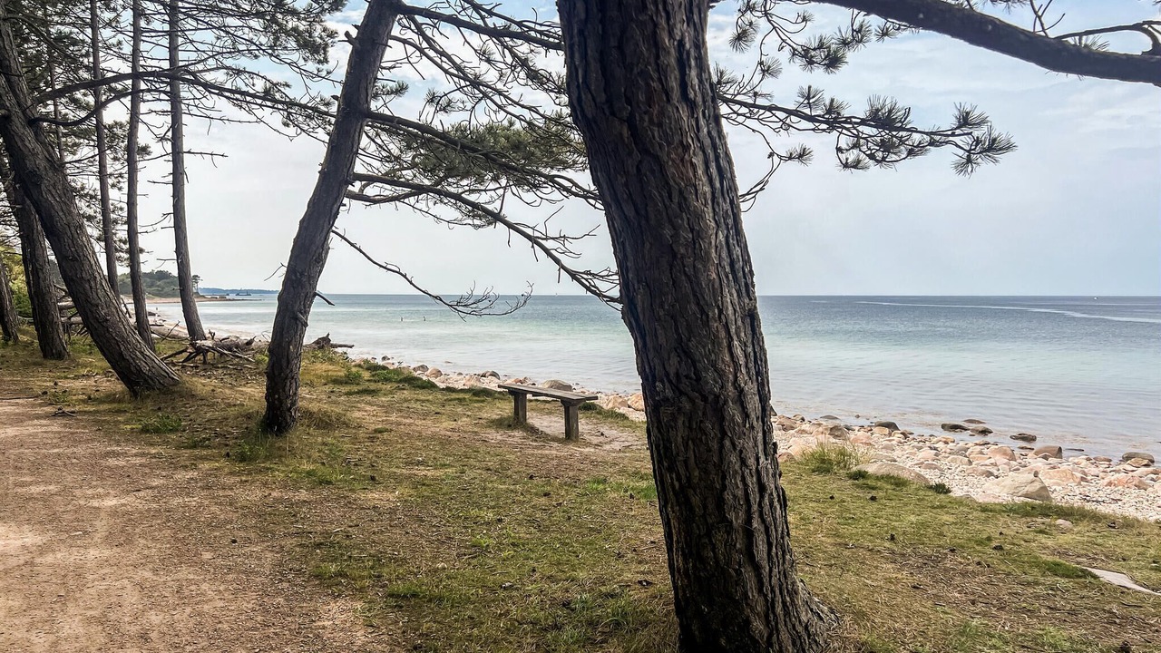 Photo of Others in Hornbaek