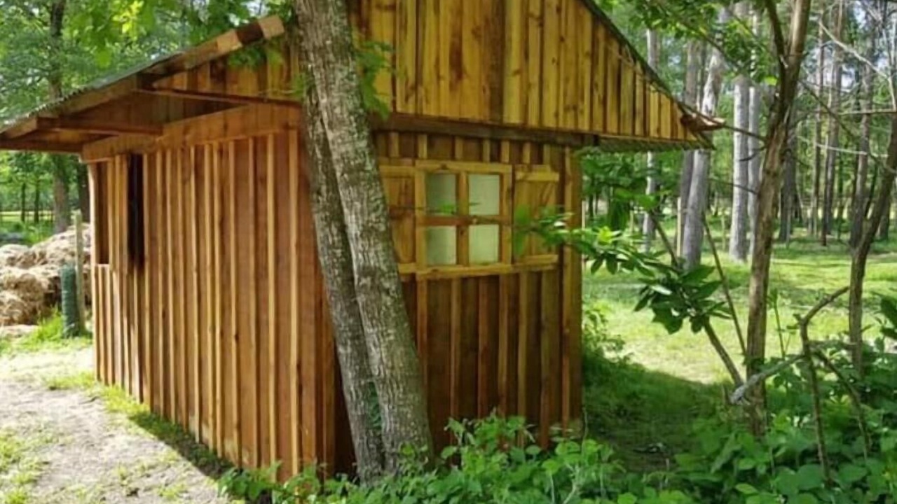 Photo of Outdoor in Mur-de-Sologne