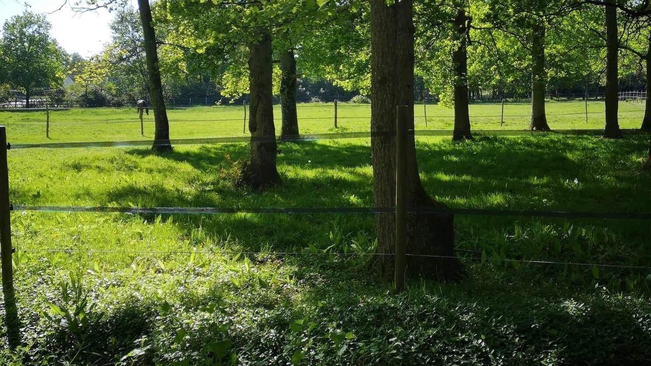 Photo of Outdoor in Mur-de-Sologne