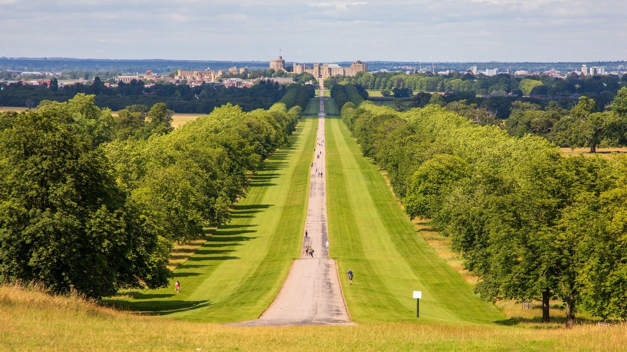 Photo of Others in Windsor City Centre