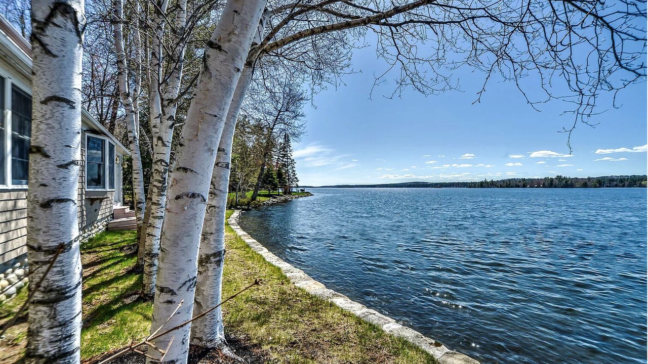 Photo of Outdoor in Manchester