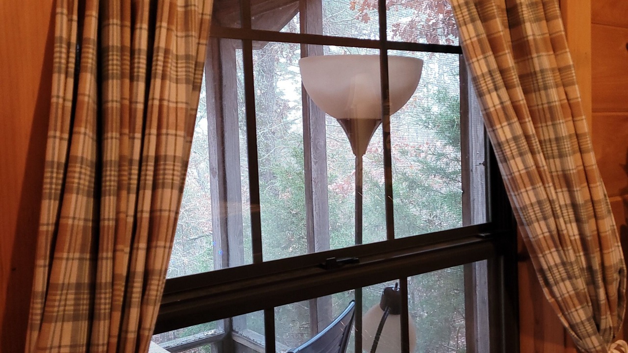 Photo of Outdoor in Bruno