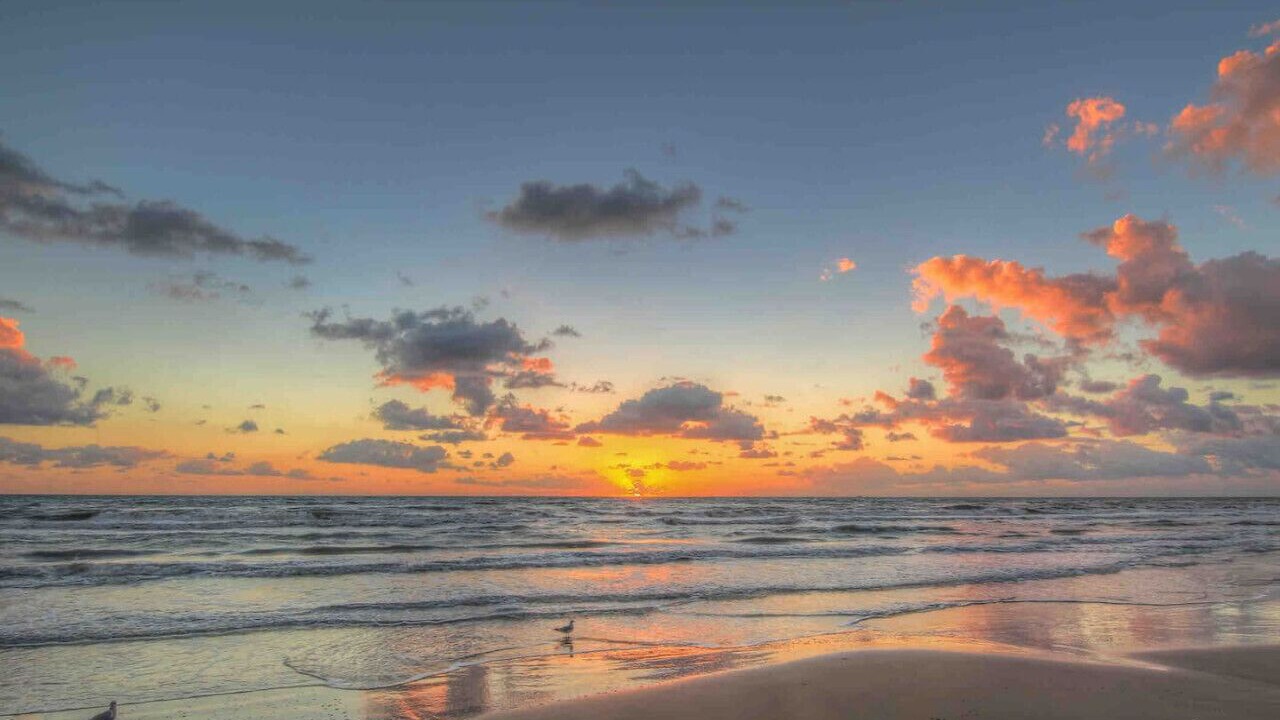 Photo of Others in South Side