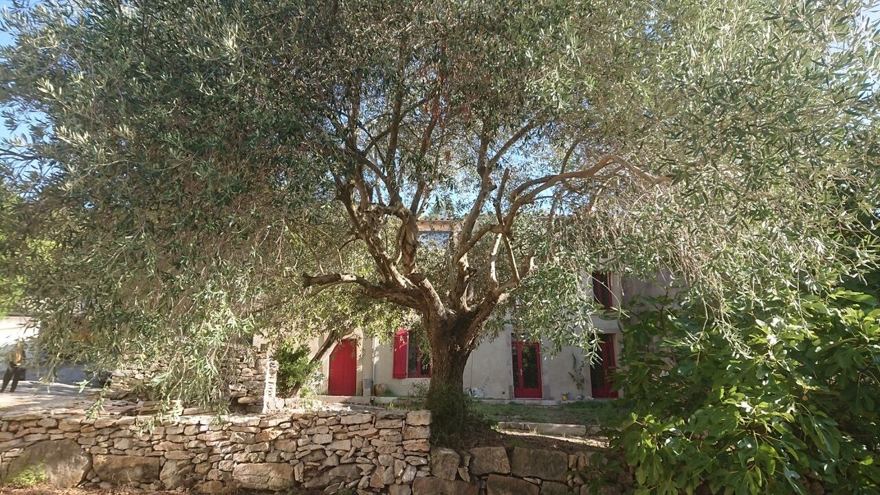 Photo of Outdoor in Montlaur