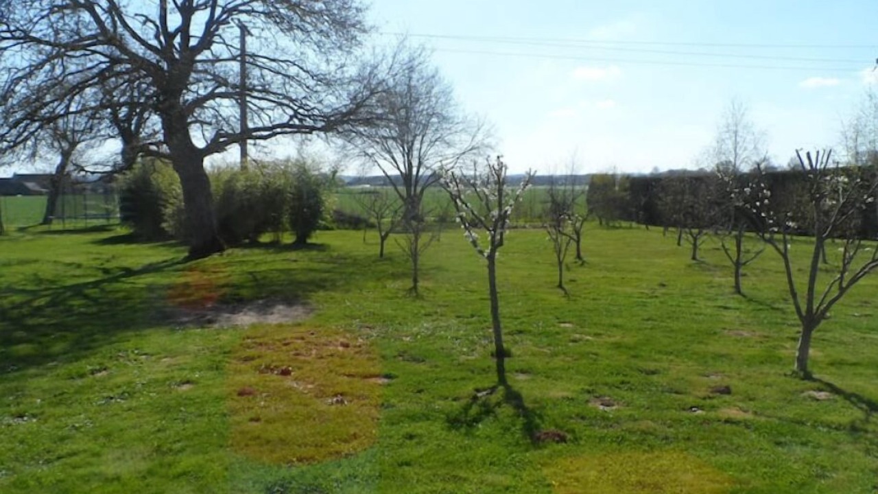 Photo of Outdoor in Guipry-Messac