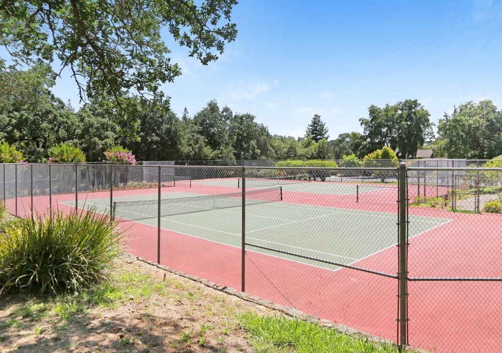 Photo of Others in Napa