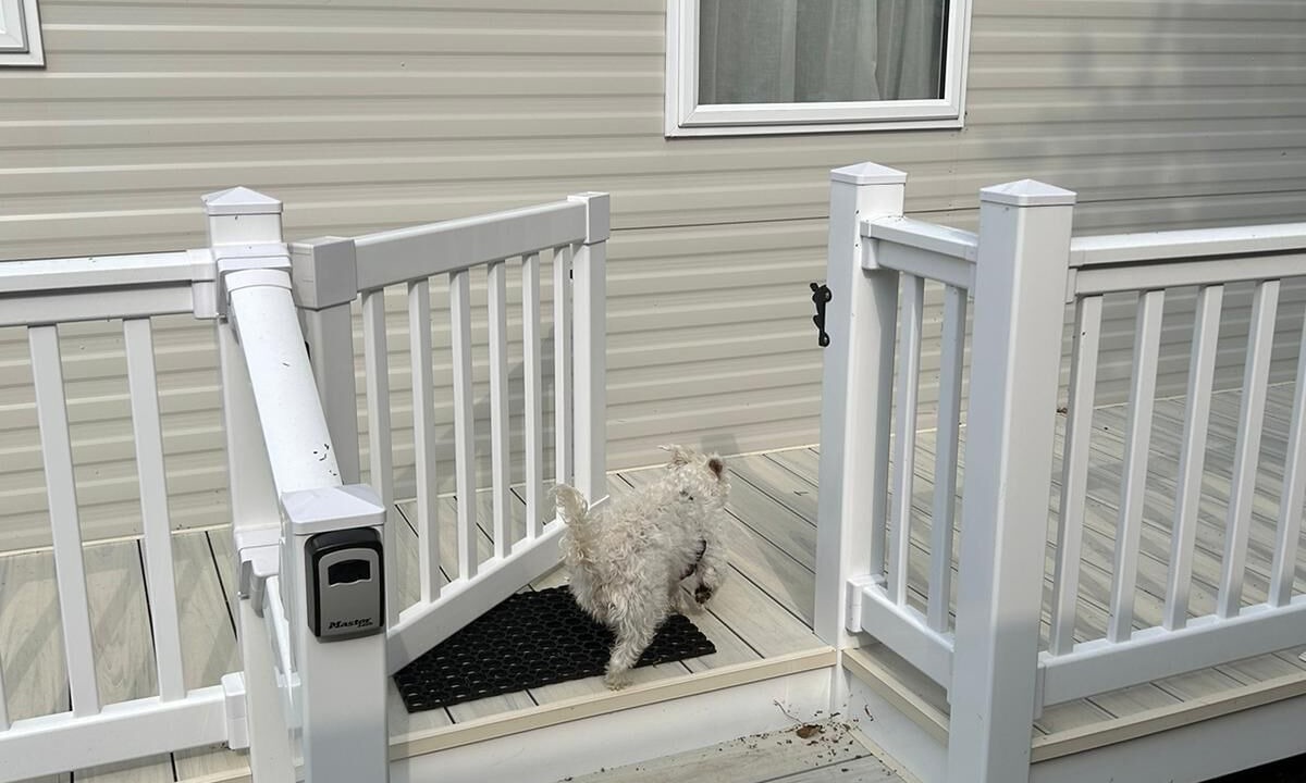 Photo of Others in Newquay