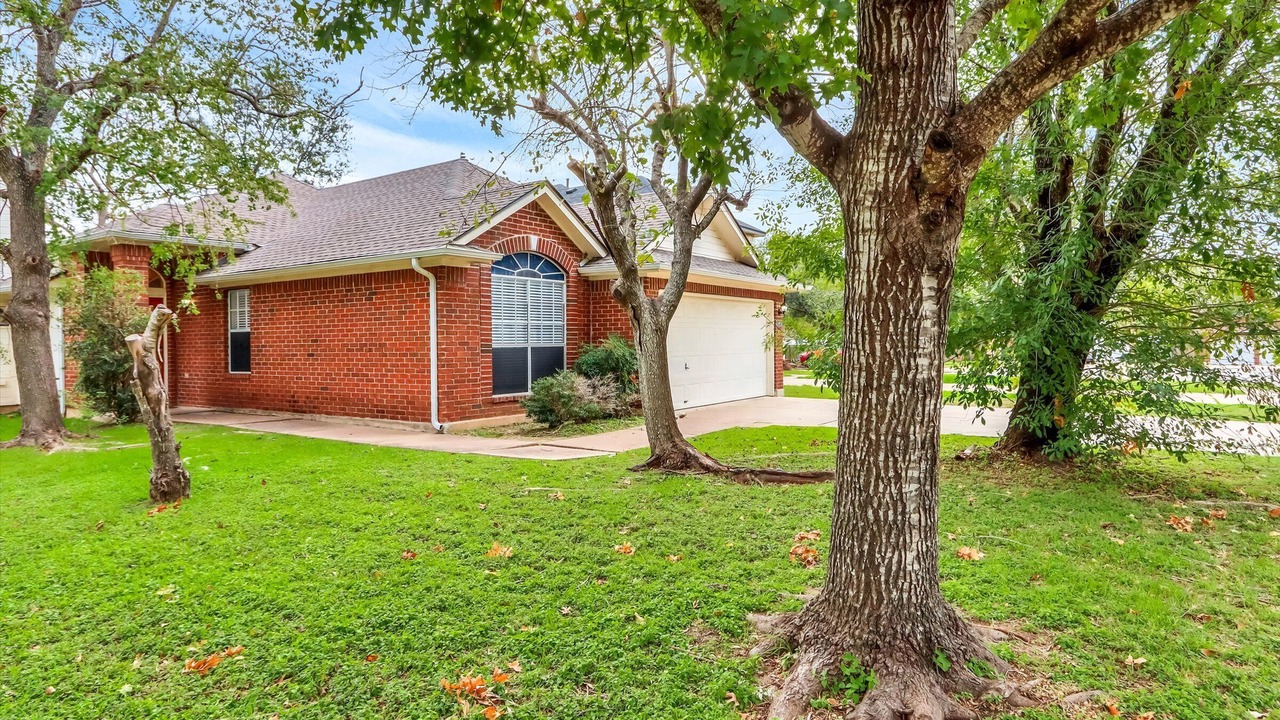 Photo of Outdoor in Round Rock