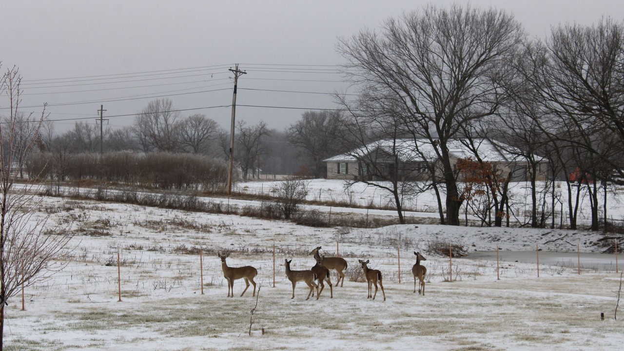 Photo of Others in Farmington