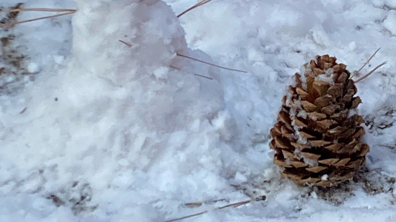 Photo of Others in Big Bear City