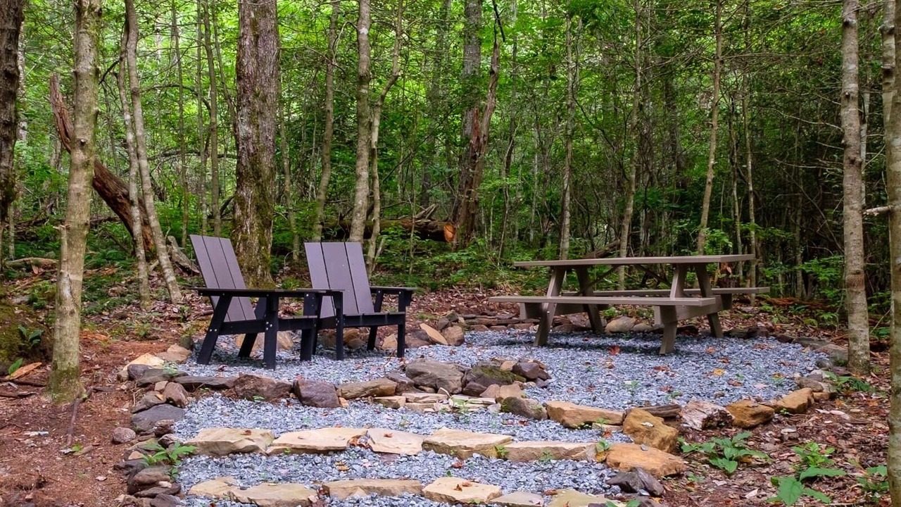 Photo of Others in Balsam Grove