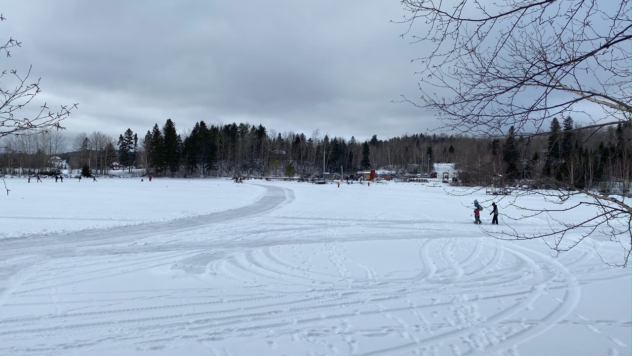 Photo of Others in Jonquiere