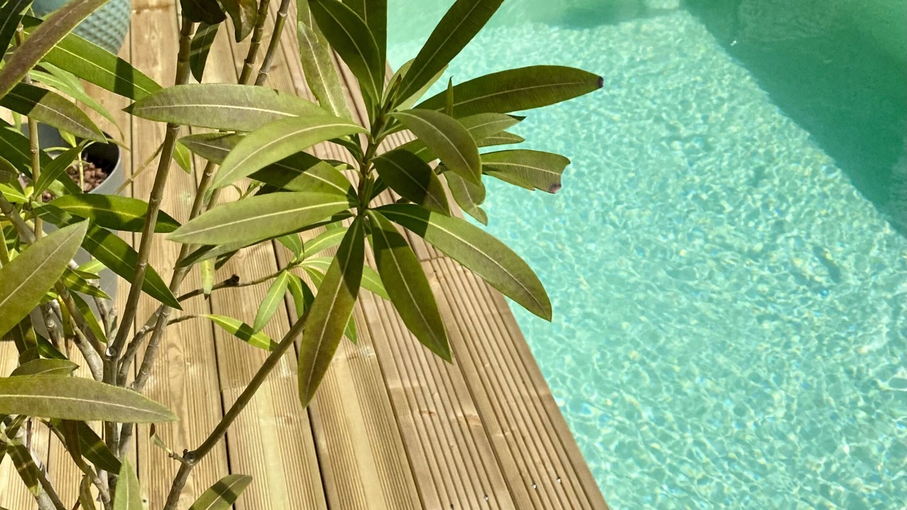 Photo of Outdoor in Jullouville
