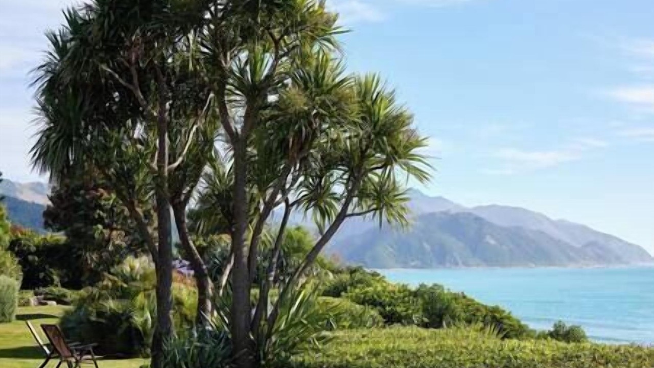 Photo of Others in Hapuku