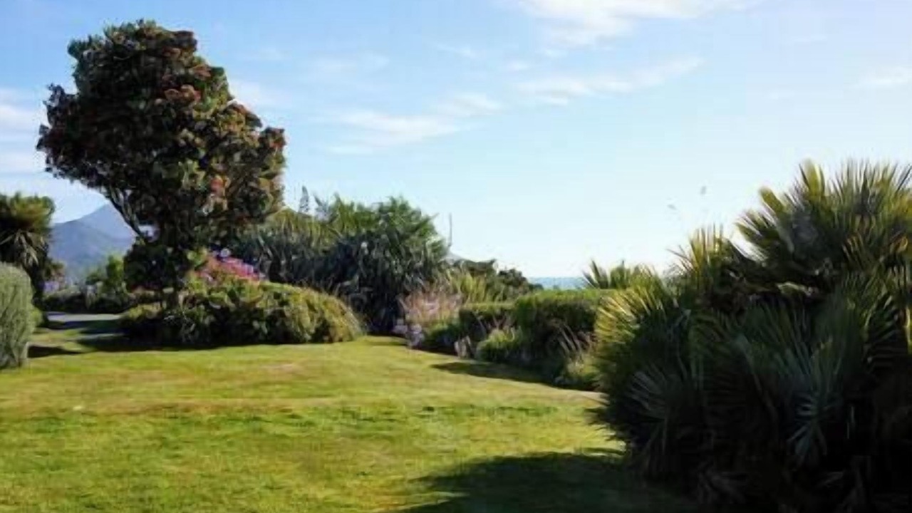 Photo of Others in Hapuku