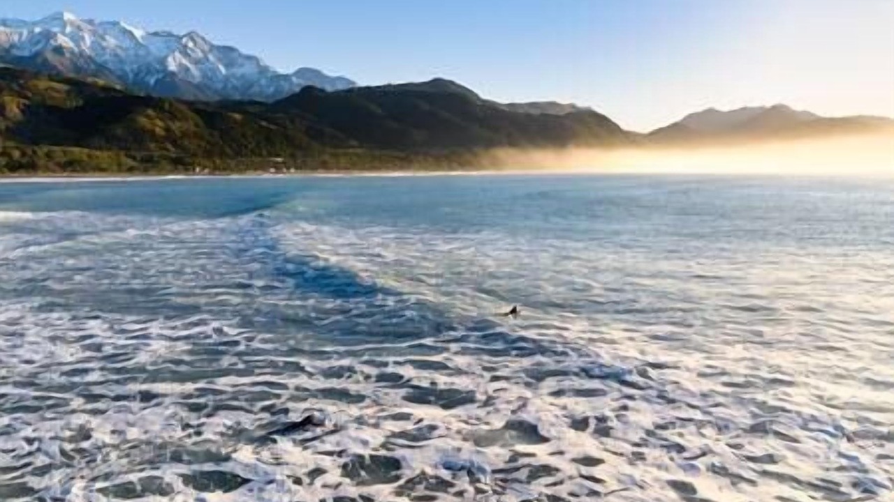 Photo of Others in Hapuku