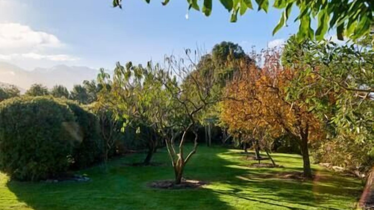 Photo of Others in Hapuku