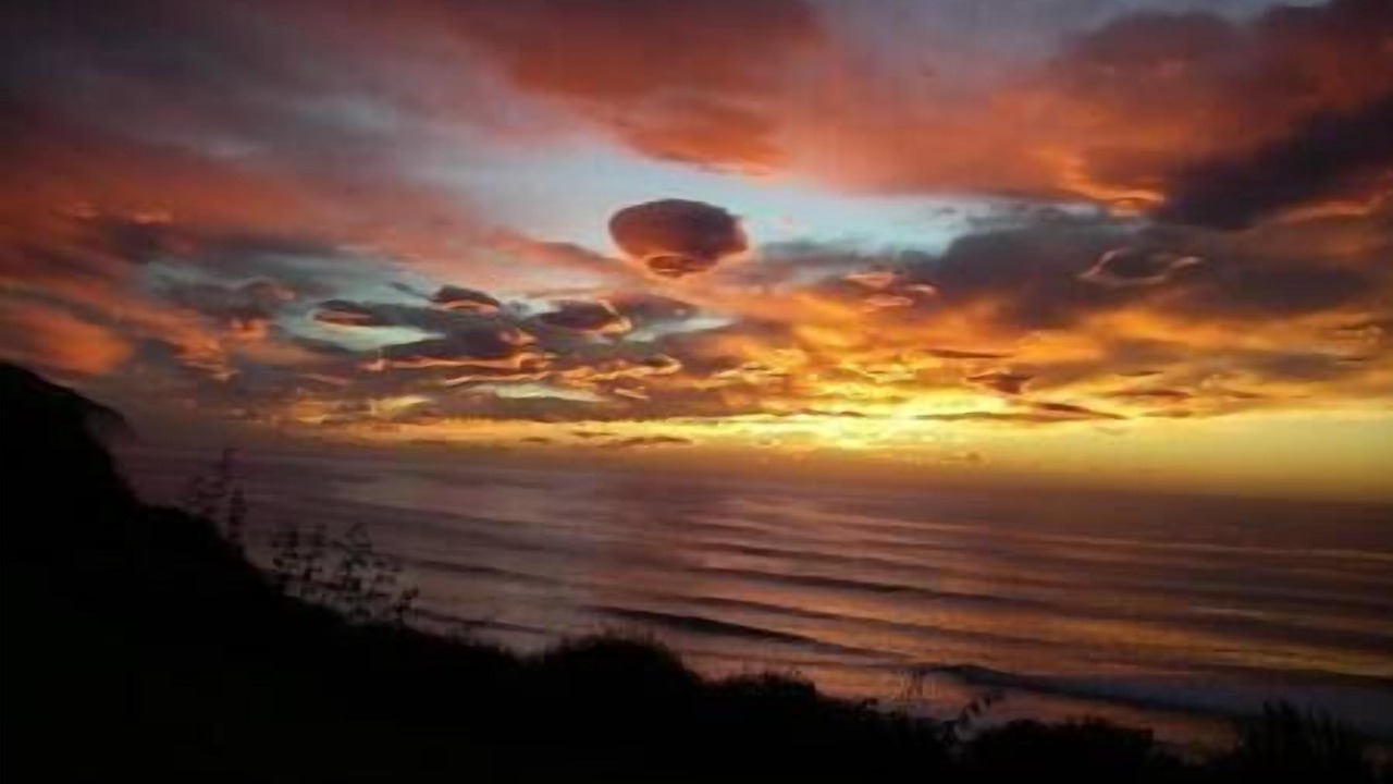 Photo of Others in Hapuku