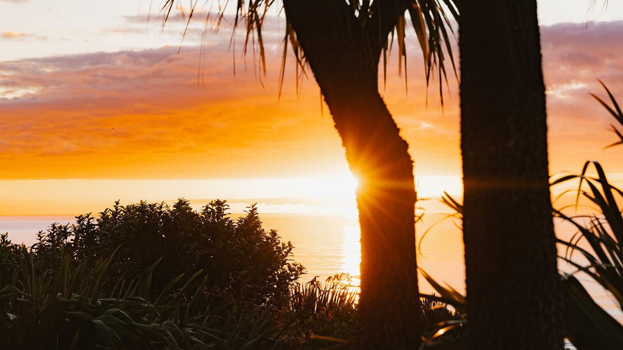 Photo of Others in Hapuku