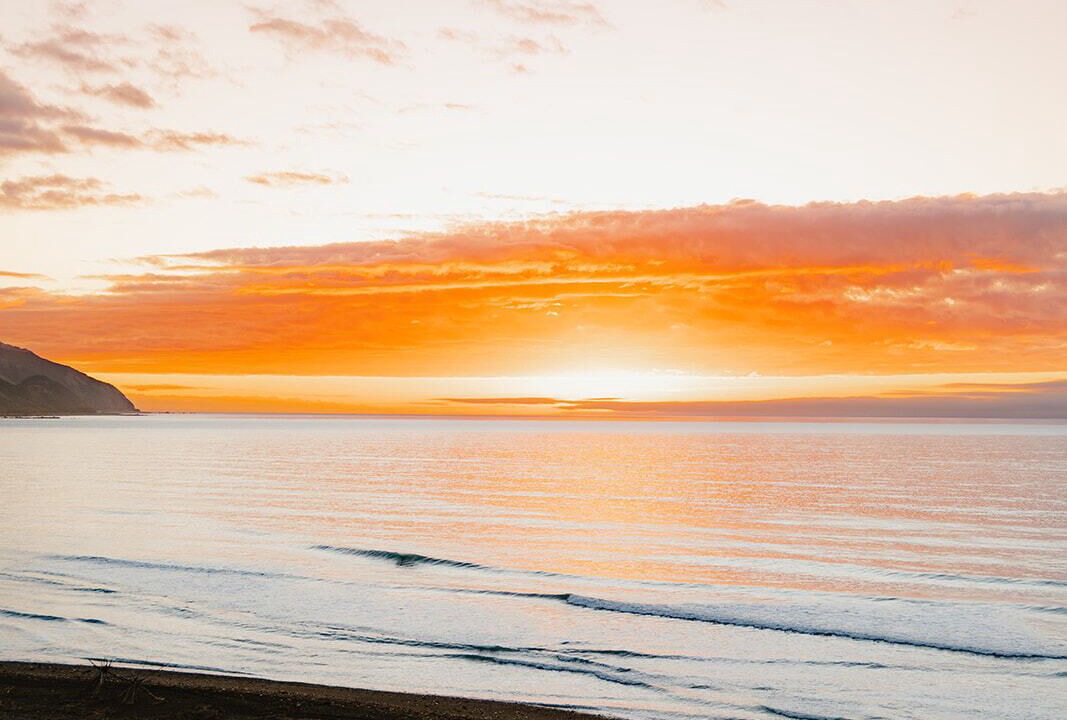 Photo of Others in Hapuku