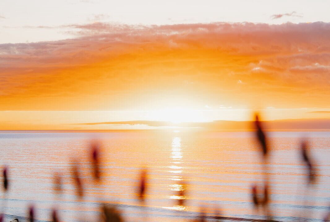 Photo of Others in Hapuku