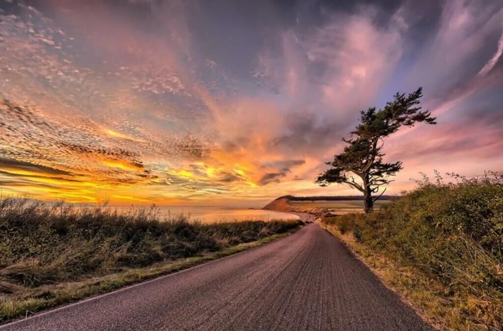 Photo of Outdoor in Edmonds