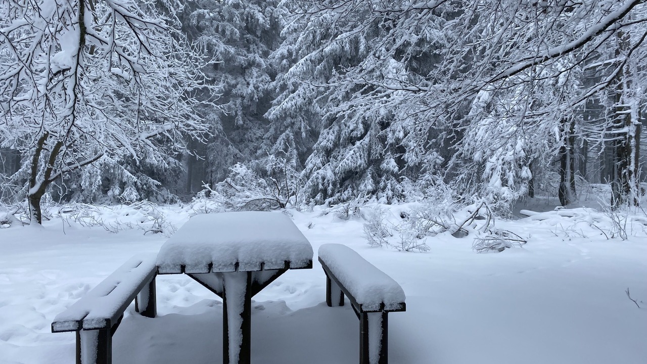 Photo of Outdoor in Le Hohwald