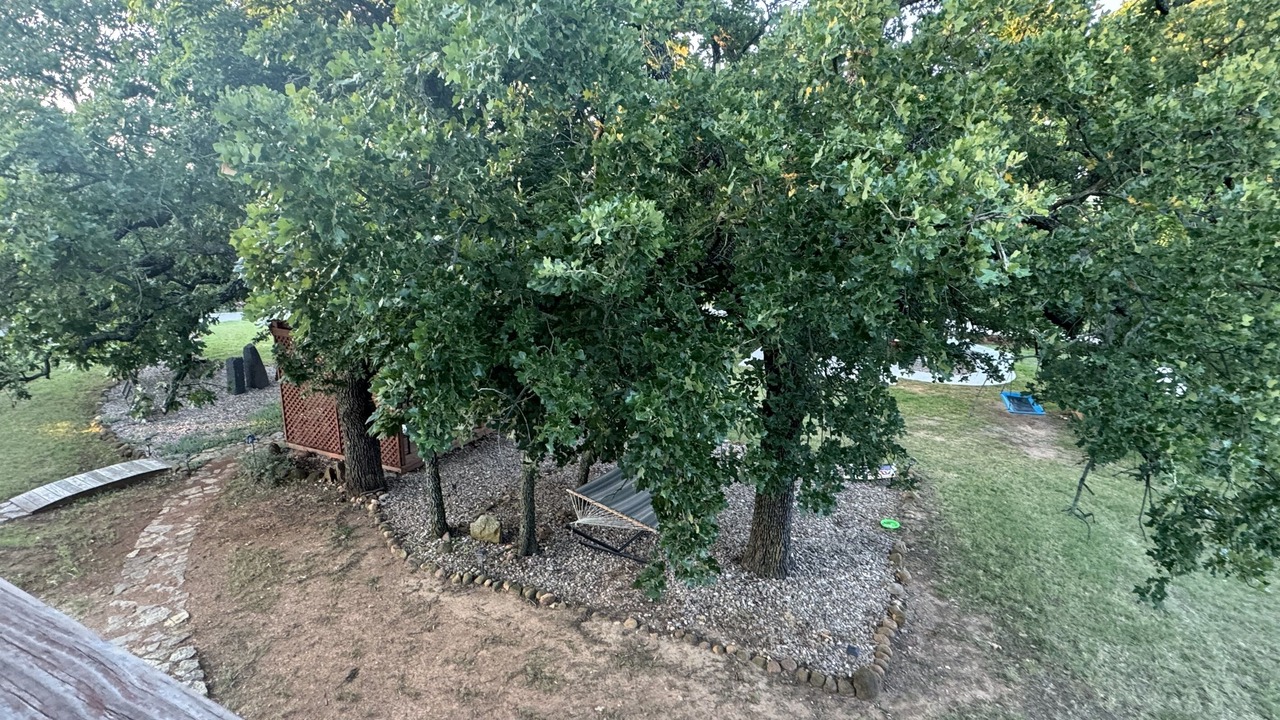 Photo of Others in Medicine Park