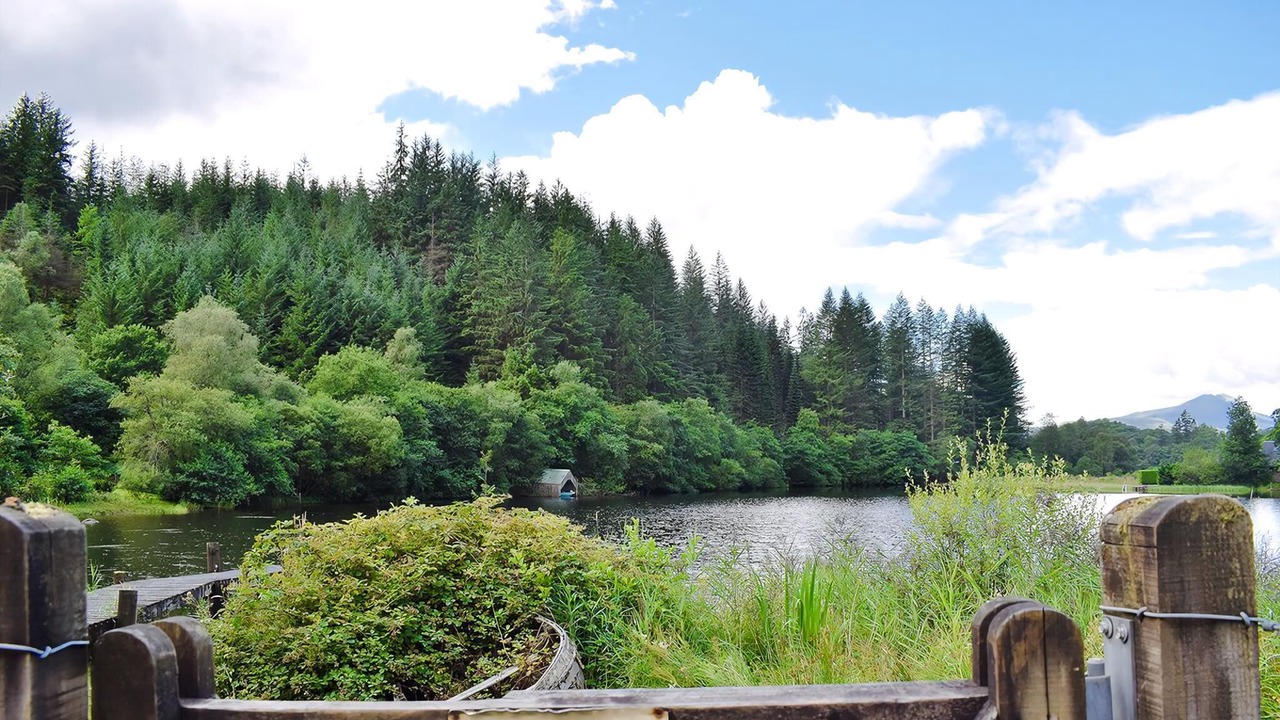 Photo of Others in Milton