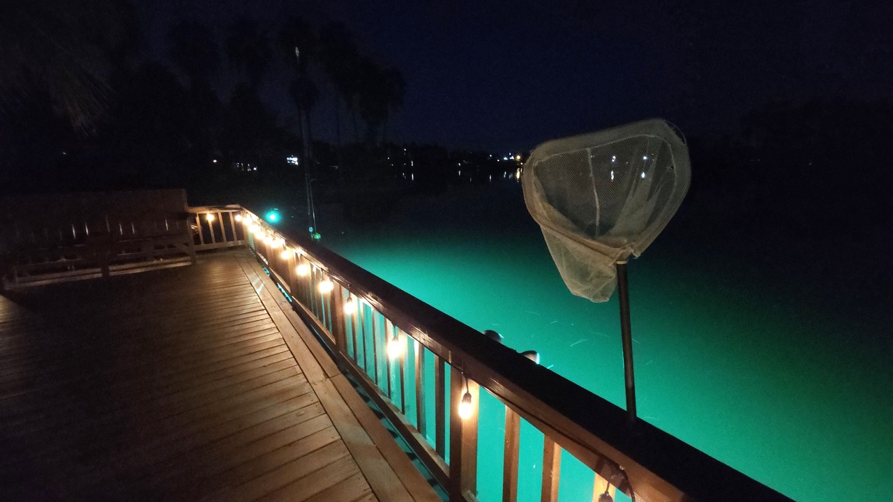 Photo of Outdoor in La Joya