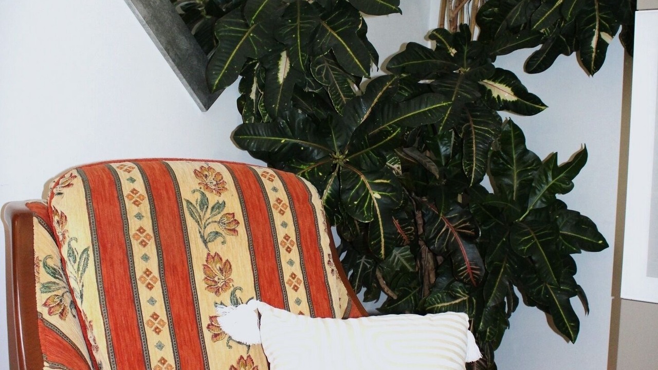 Photo of Others in Mansac