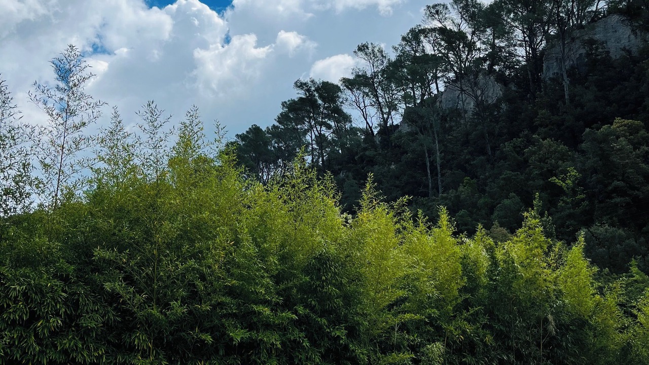 Photo of Outdoor in Meounes-les-Montrieux