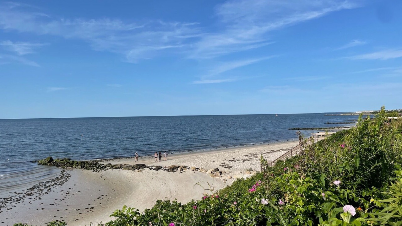 Photo of Others in South Chatham