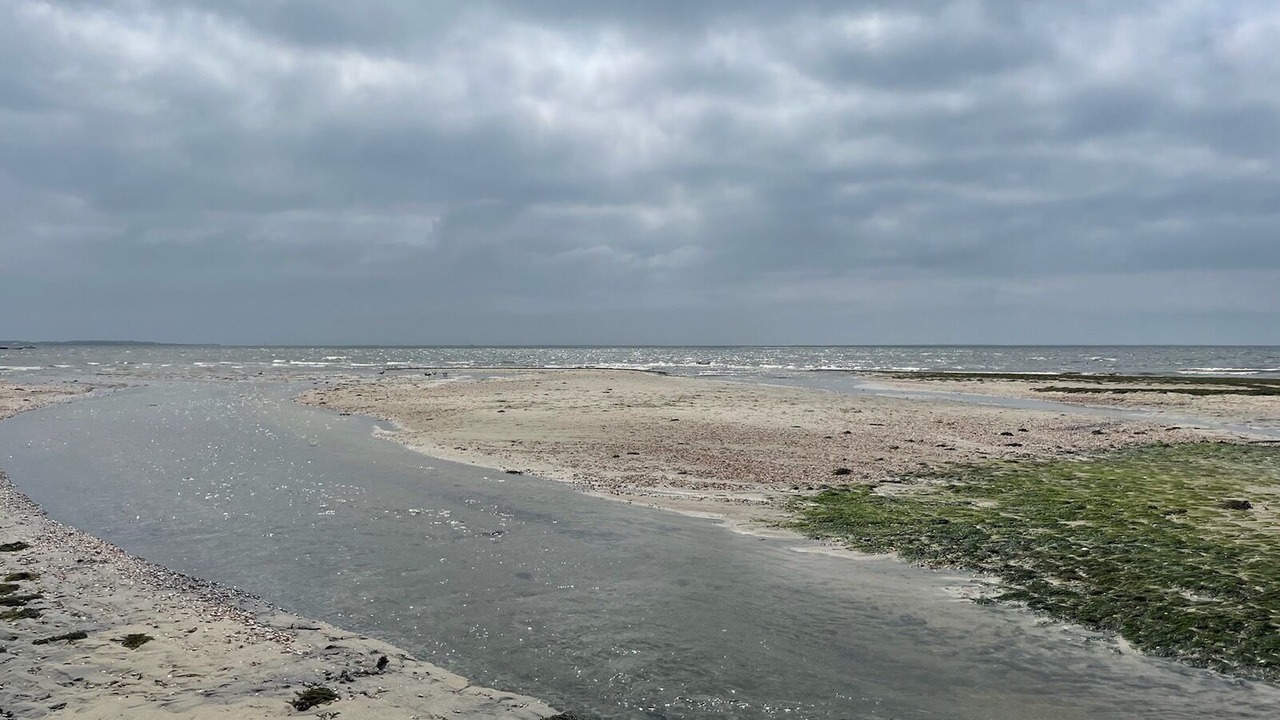 Photo of Others in South Chatham