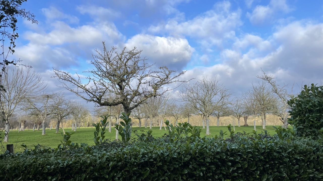 Photo of Outdoor in Saint-Etienne-l'Allier
