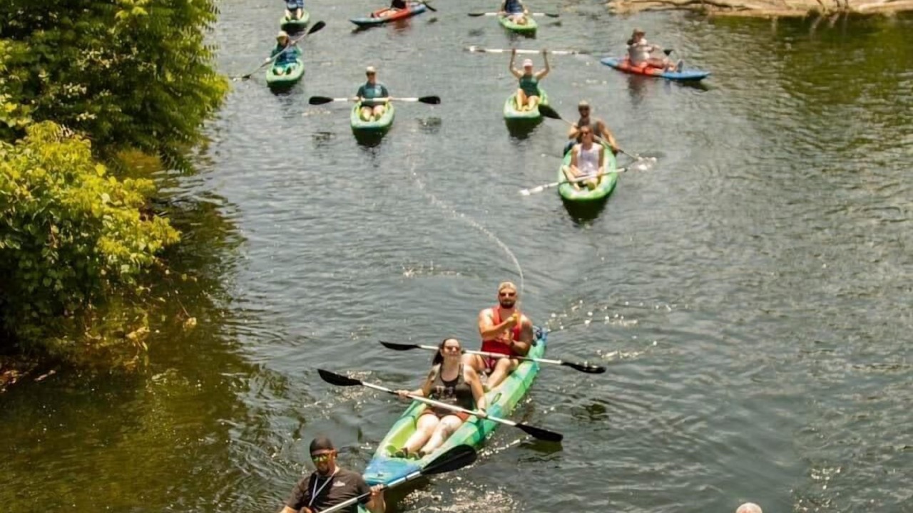 Photo of Others in Omena