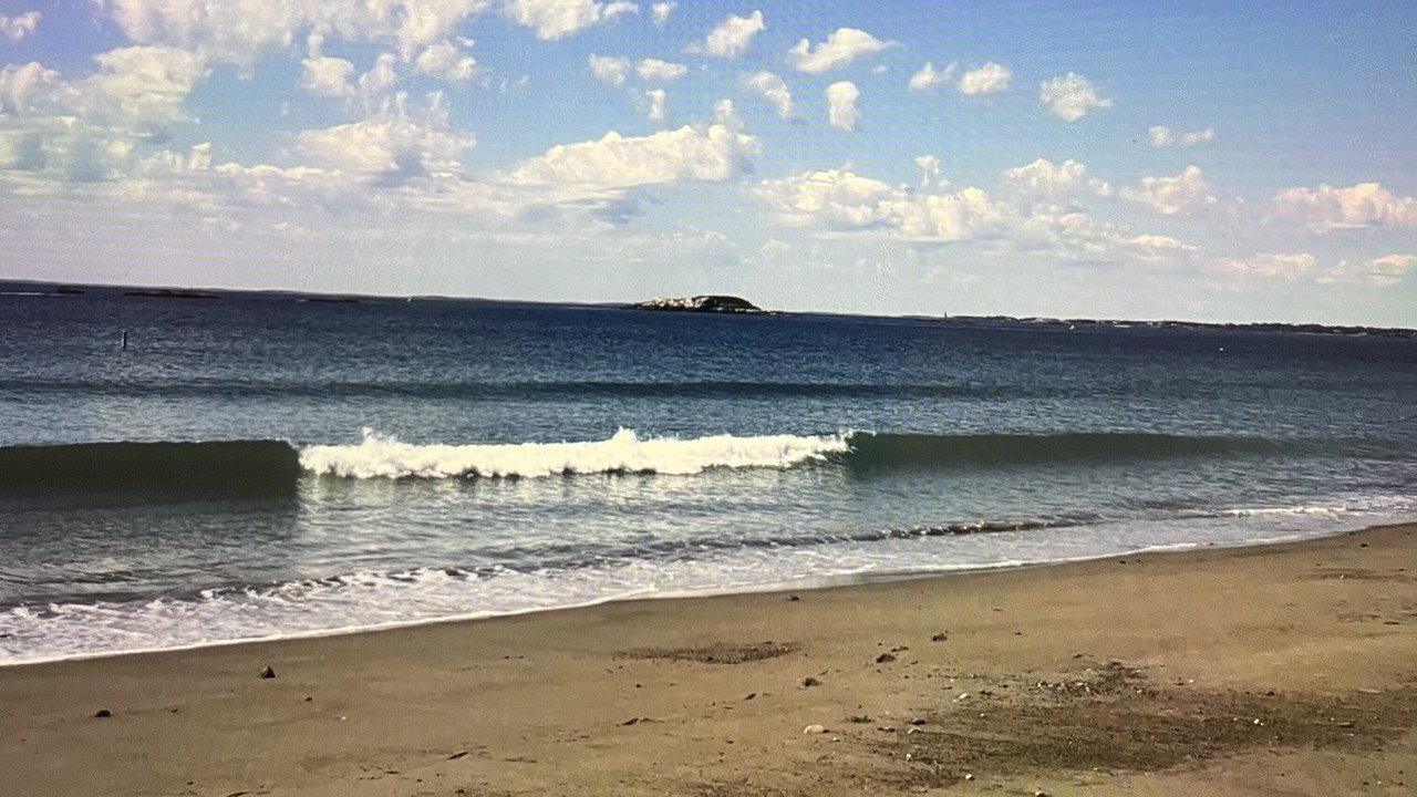 Photo of Others in Marblehead