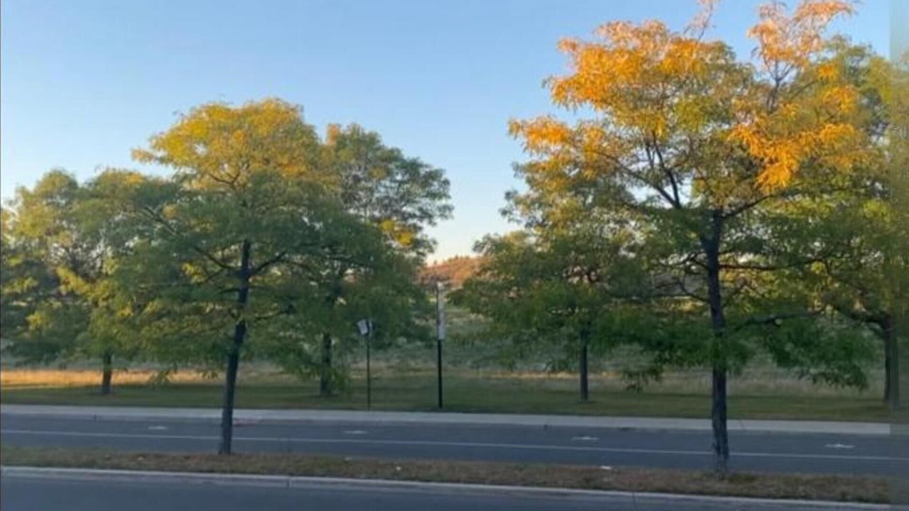 Photo of Others in Nouveau-Rosemont