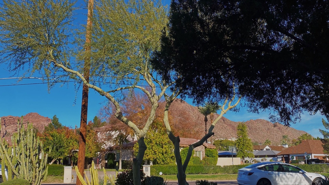 Photo of Outdoor in Arcadia