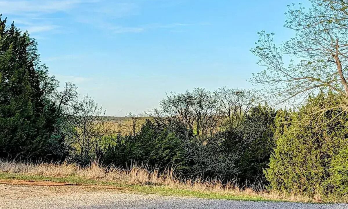 Photo of Outdoor in Davis