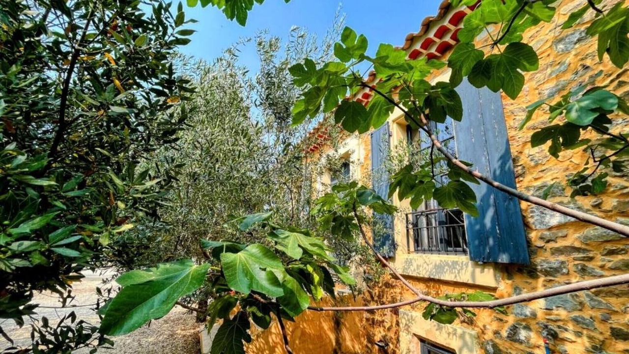 Photo of Outdoor in Le Somail