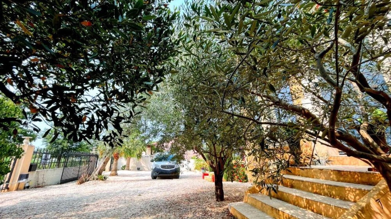 Photo of Outdoor in Le Somail